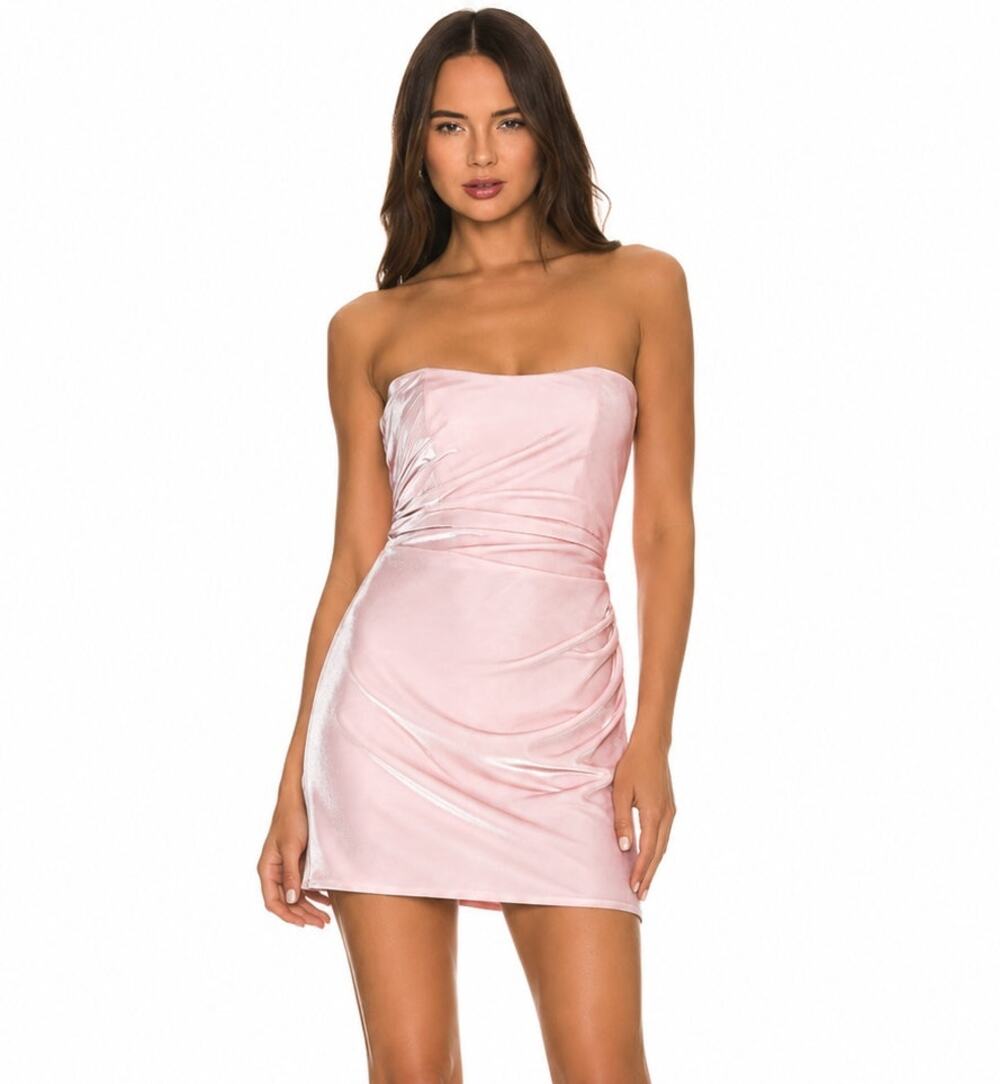 The Bar Dion Dress in Pink NWT Size 12